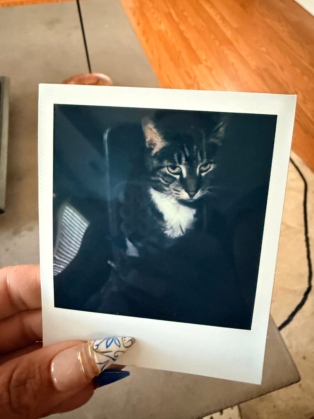 Customer photo review of Polaroid 600 Sun660 Autofocus Instant Film Camera