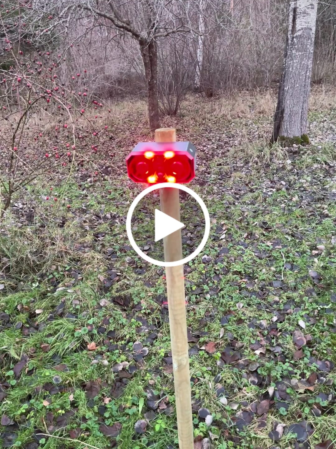 Customer video review of ViltVakten™ – Effektiv Viltskrämma som Skrämmer Bort Vildsvin, Rådjur mm