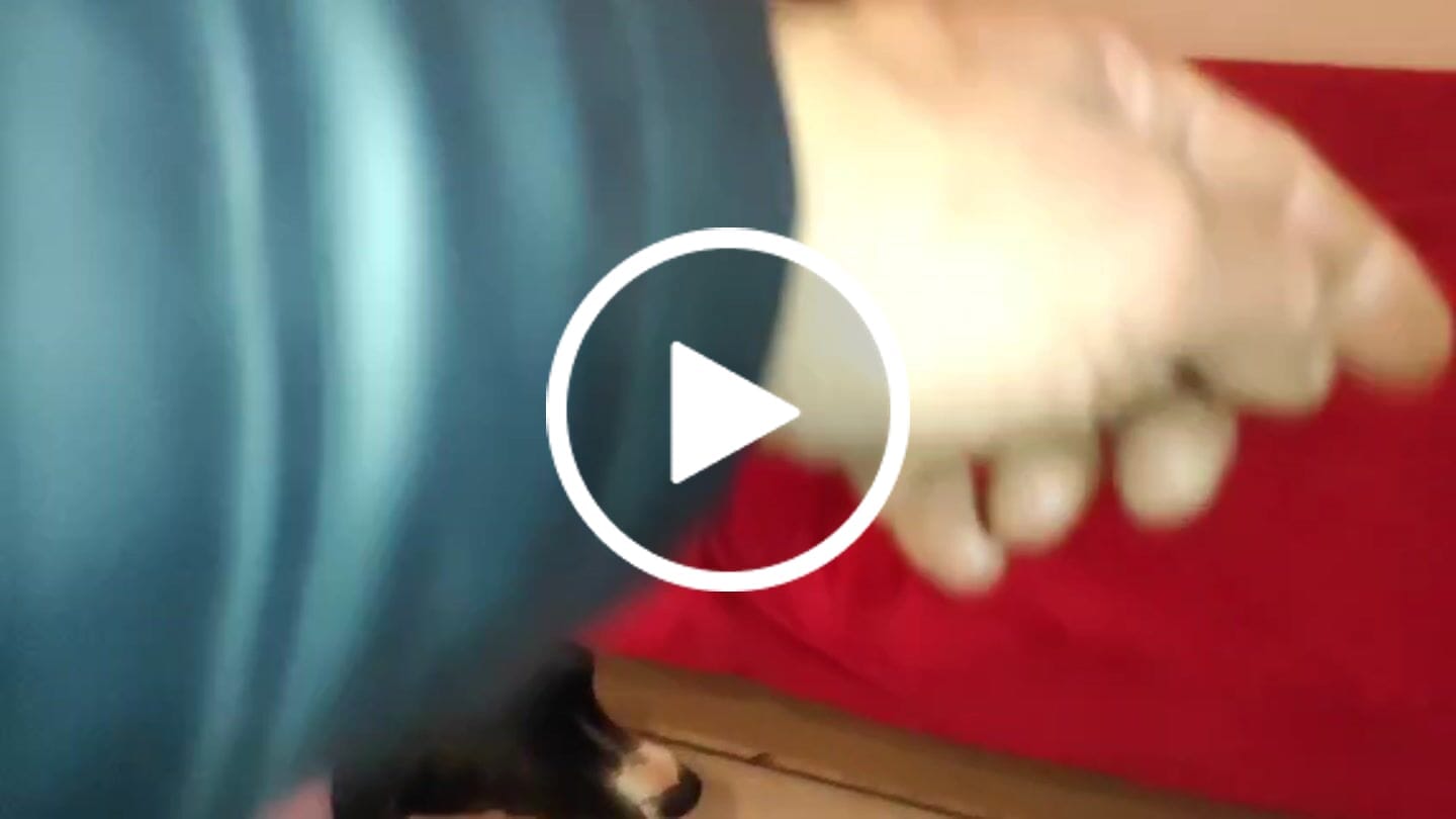 Customer video review of Cyber Punk Dog Hoodie