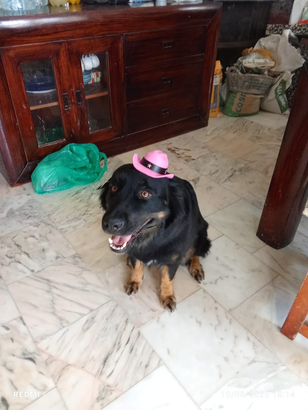 Customer photo review of Vaso Medidor
