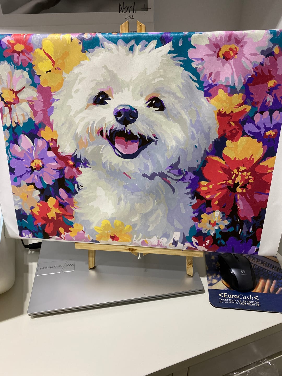 Customer photo review of Bichon Frise