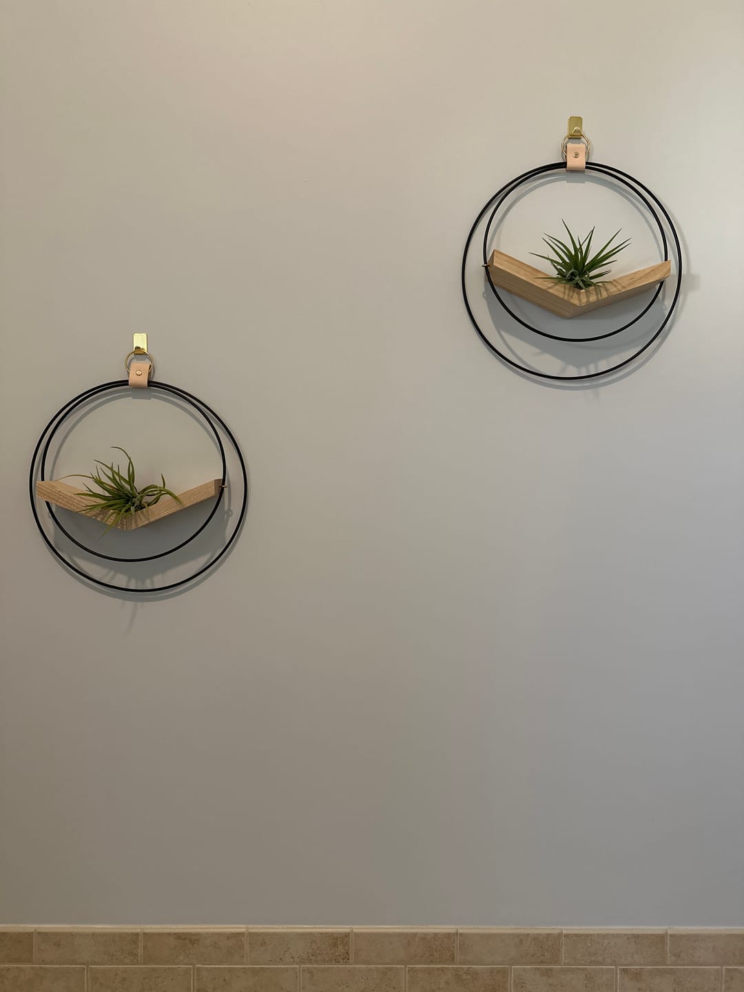 Customer photo review of Air Plant V-Hanger