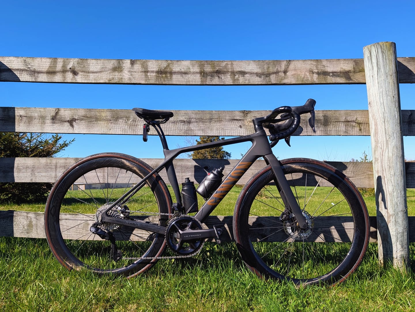 Customer photo review of 3D Saint Pro