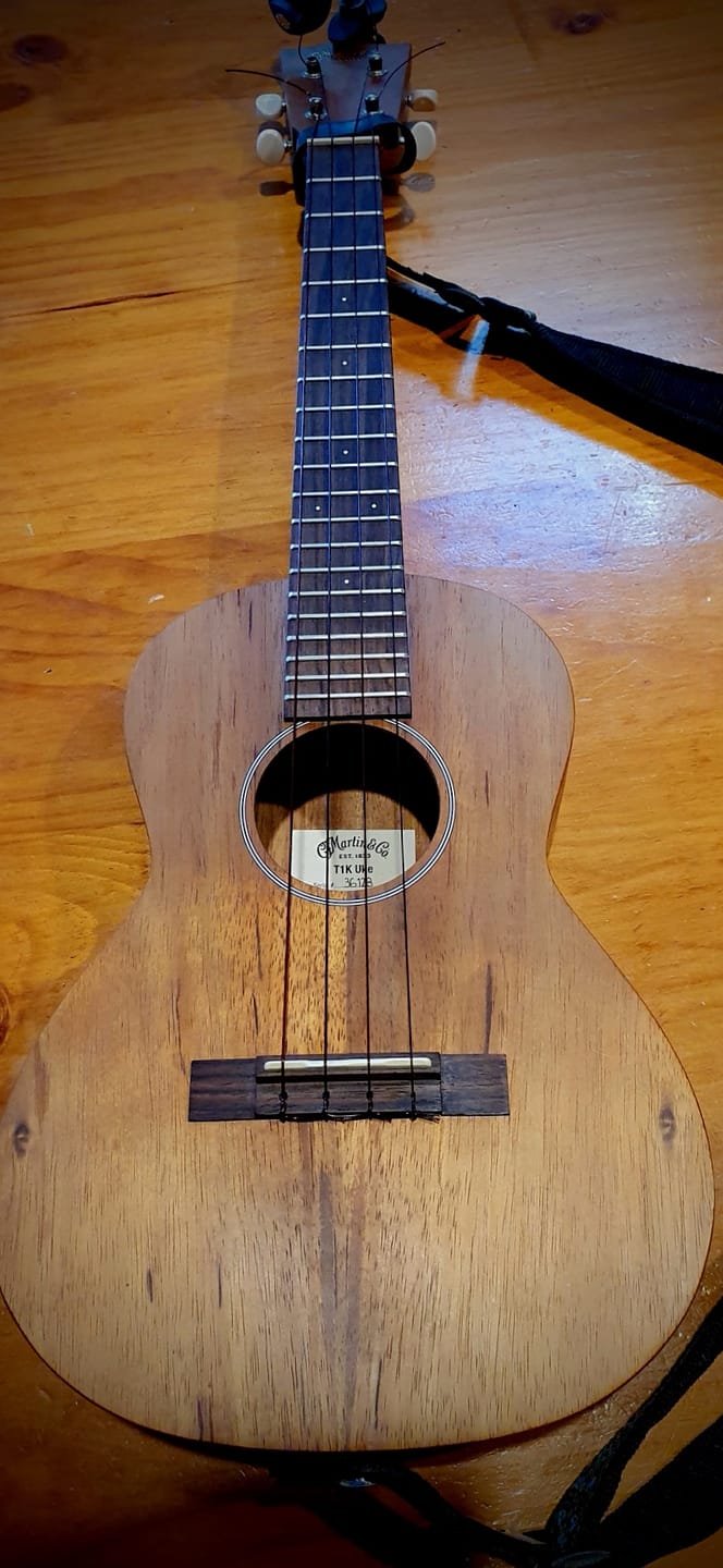 Customer photo review of BF-LG Worth Brown Fat Low-G Tenor Ukulele Strings Flurorcarbon 2 Restrings per Packet