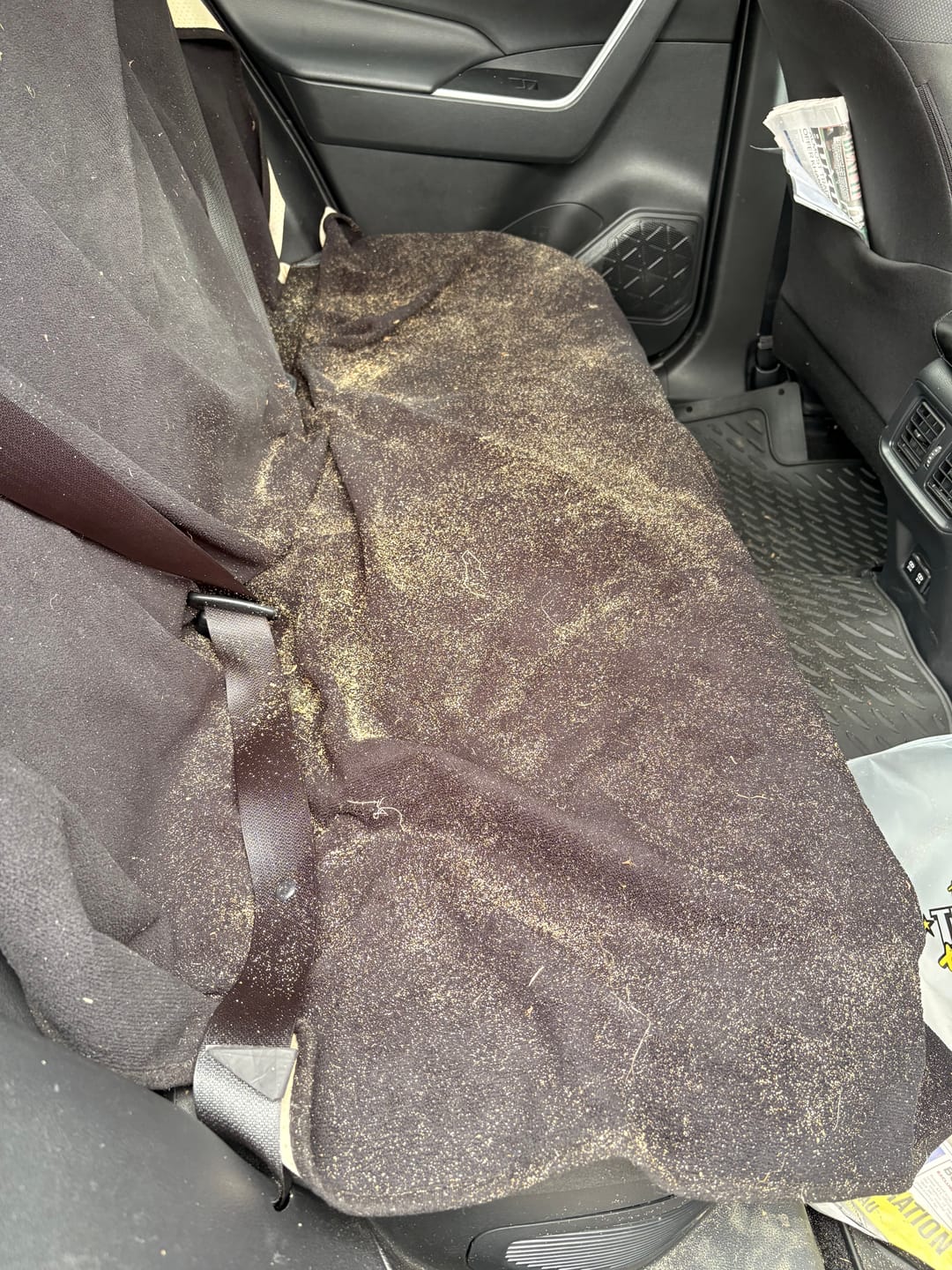 Customer photo review of Waterproof Backseat Car Towel Seat Cover