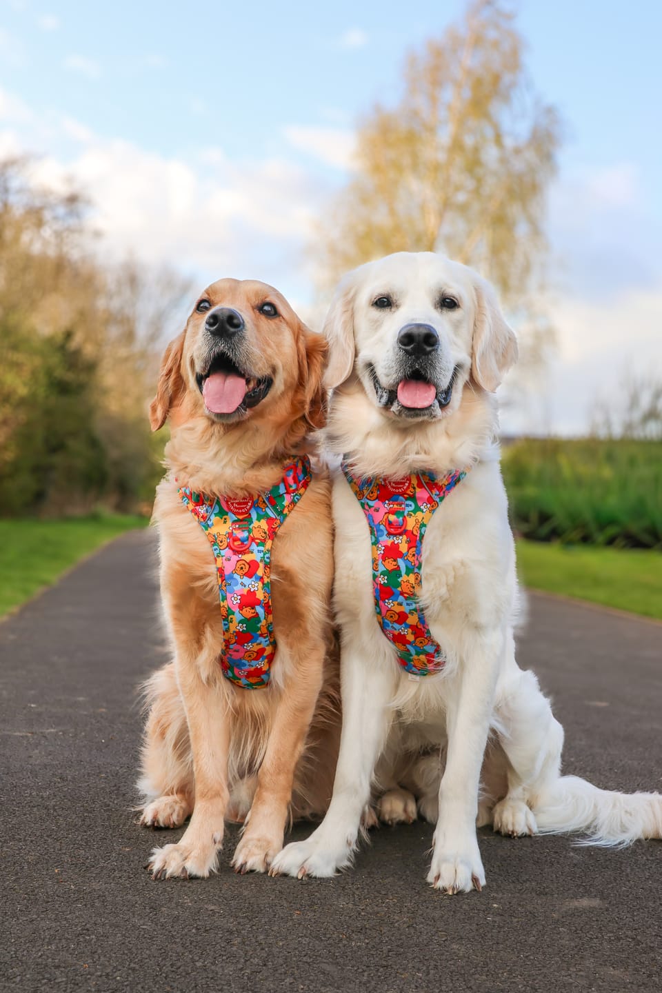 Customer photo review of Disney© Tough Trails™ Harness - Winnie Goes Retro