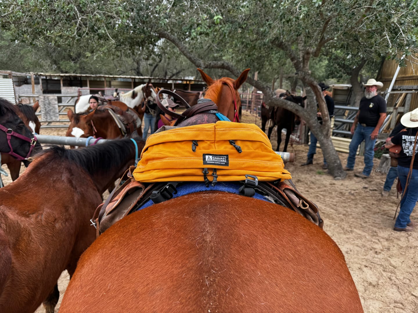 Customer photo review of THE BRUMBY