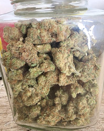 CBD Pre Rolls - Abacus Diesel photo review
