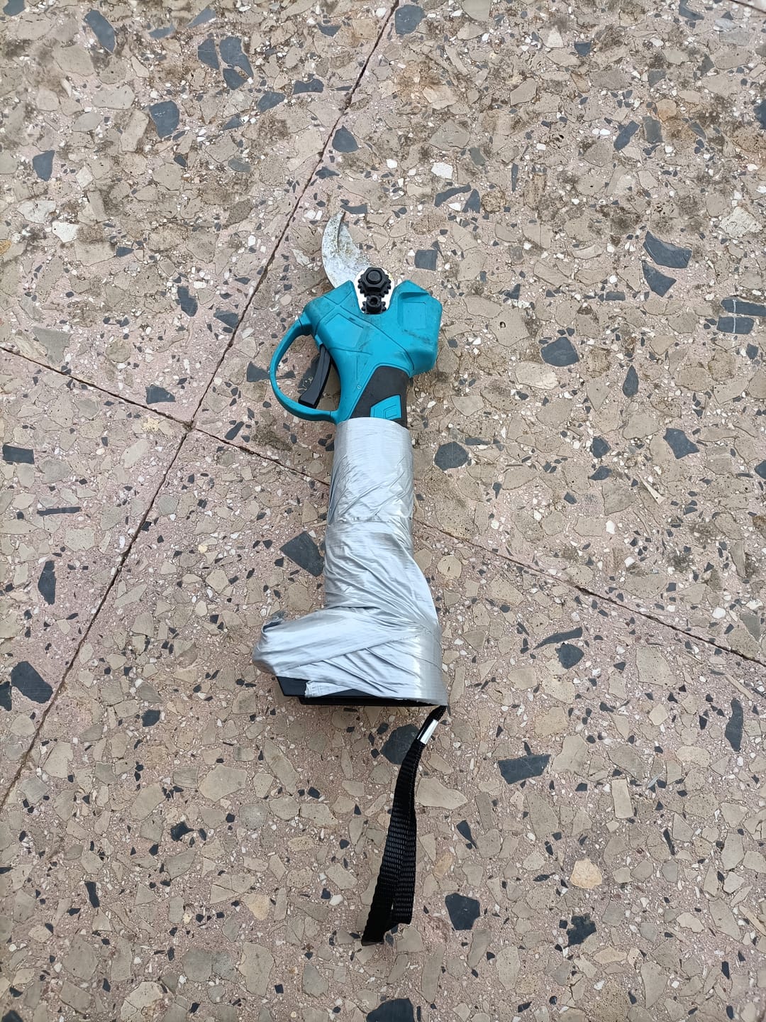 Customer photo review of Kit Professionale Forbice da Potatura e Motosega 6 Pollici con asta Telescopica