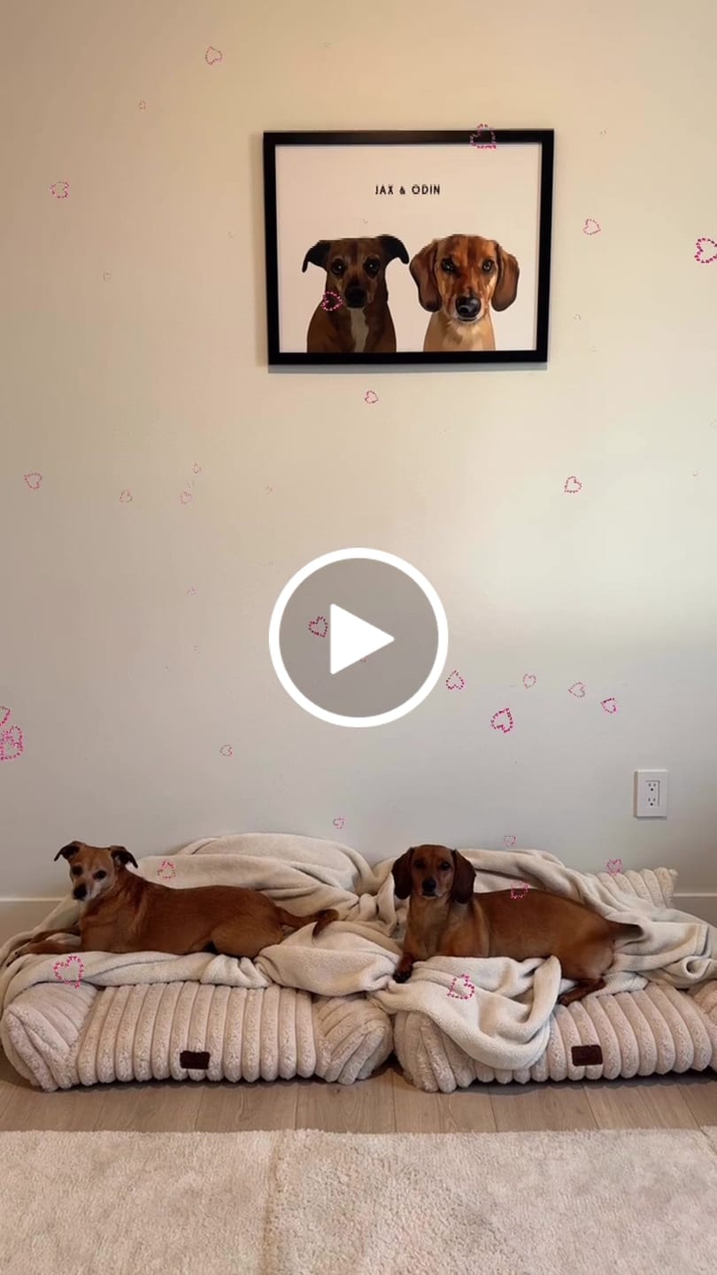 Customer video review of Custom Two Pet Portrait