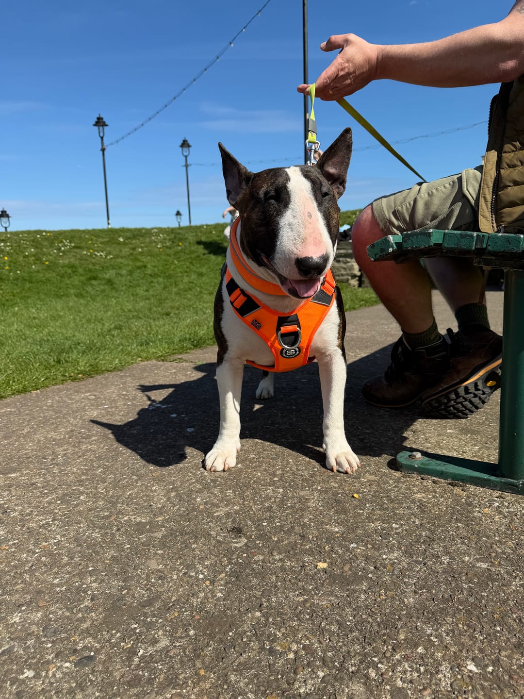 Customer photo review of Anti Pull Hurricane Harness Lighter | With Handle - Orange