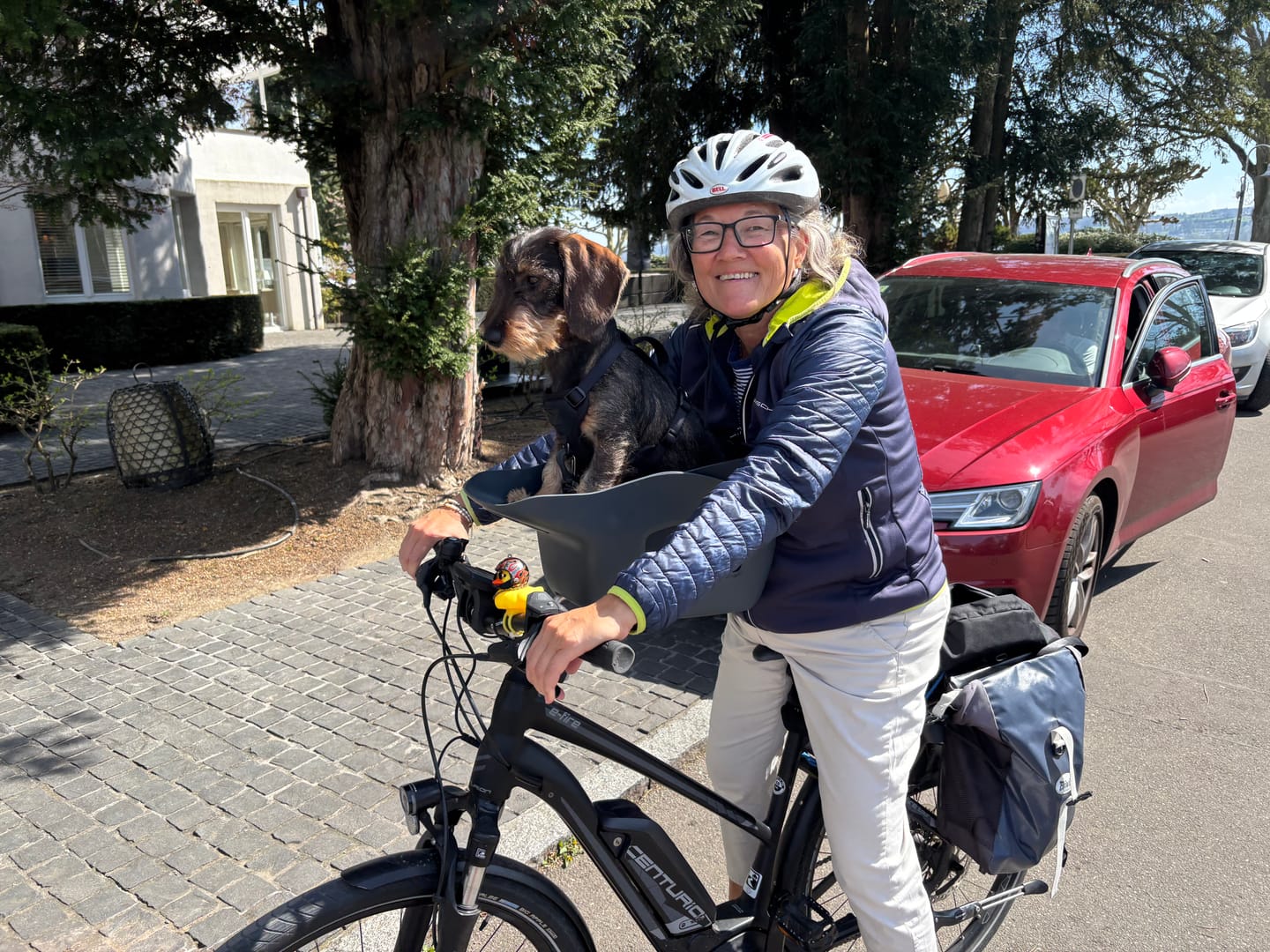 Customer photo review of Kvisp Dog Bike Carrier