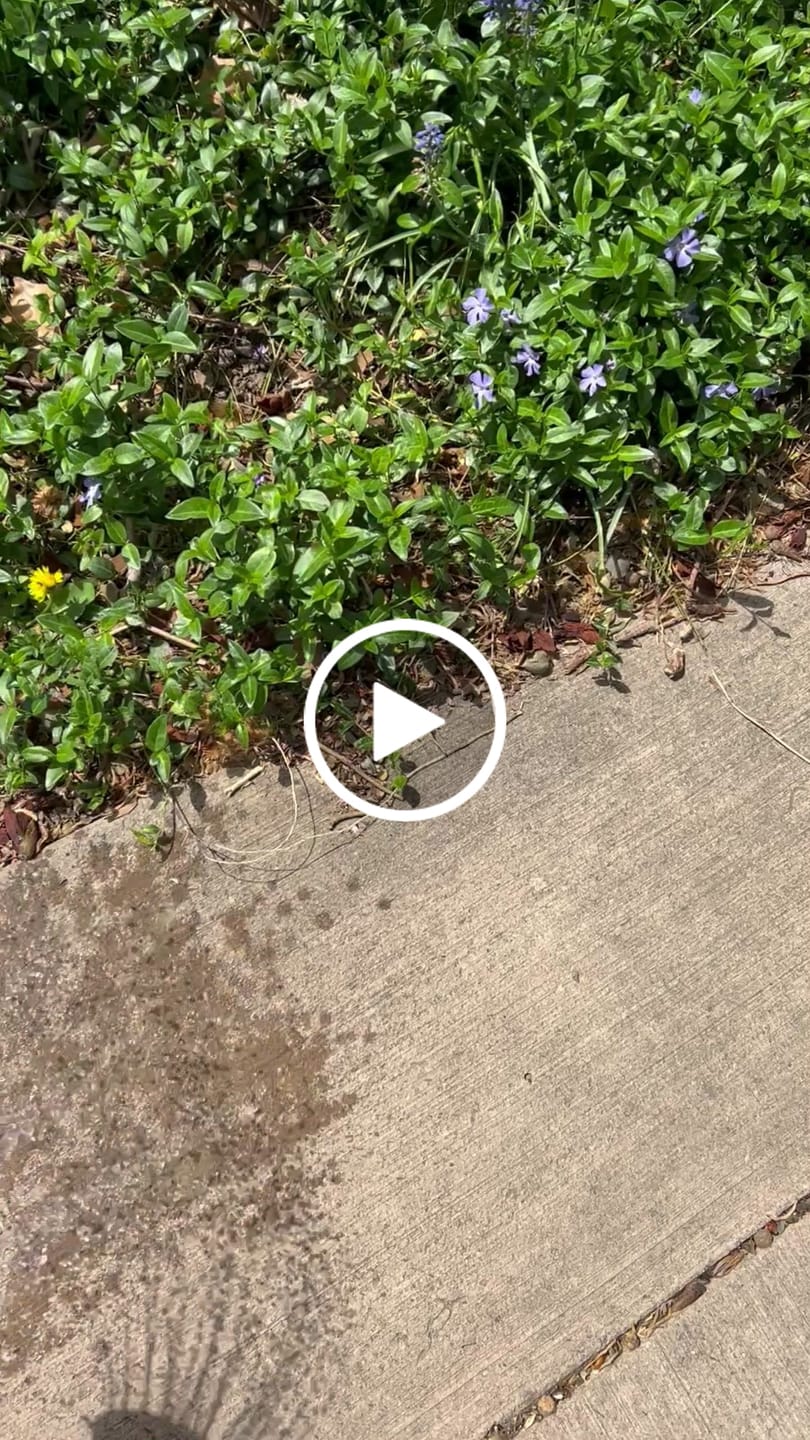 Customer video review of FREE I ❤︎ Rain PopOut Stencil