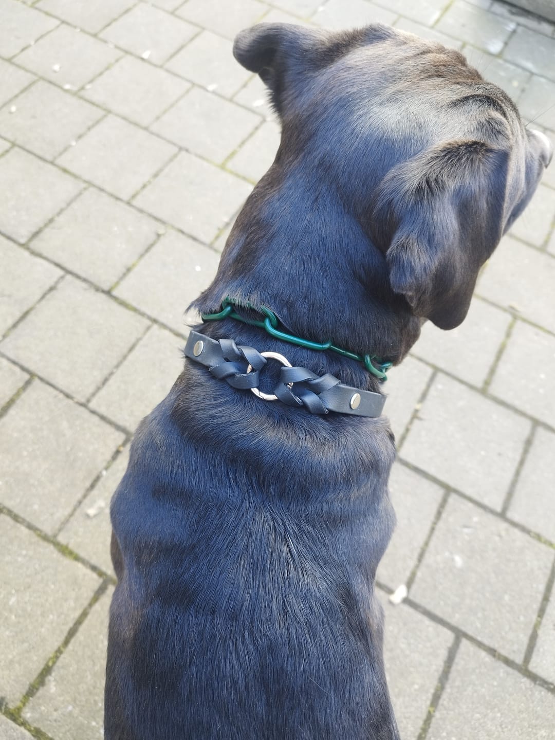 Customer photo review of Langgliedrige Eastside Chain