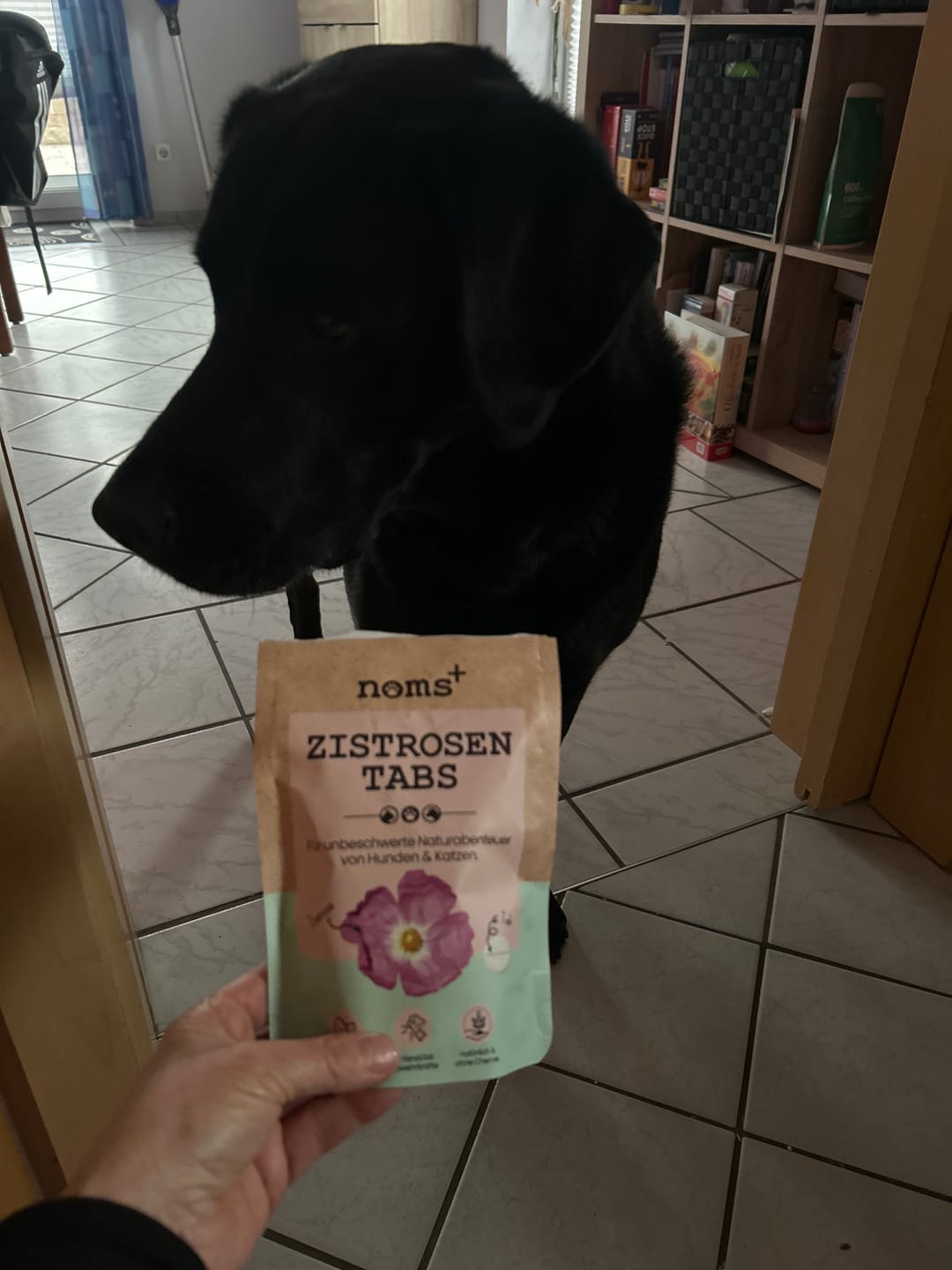Customer photo review of Zistrosen Tabs - 100% natürliches Zistrosen-Leckerli für Wald- & Wiesenspaziergänge
