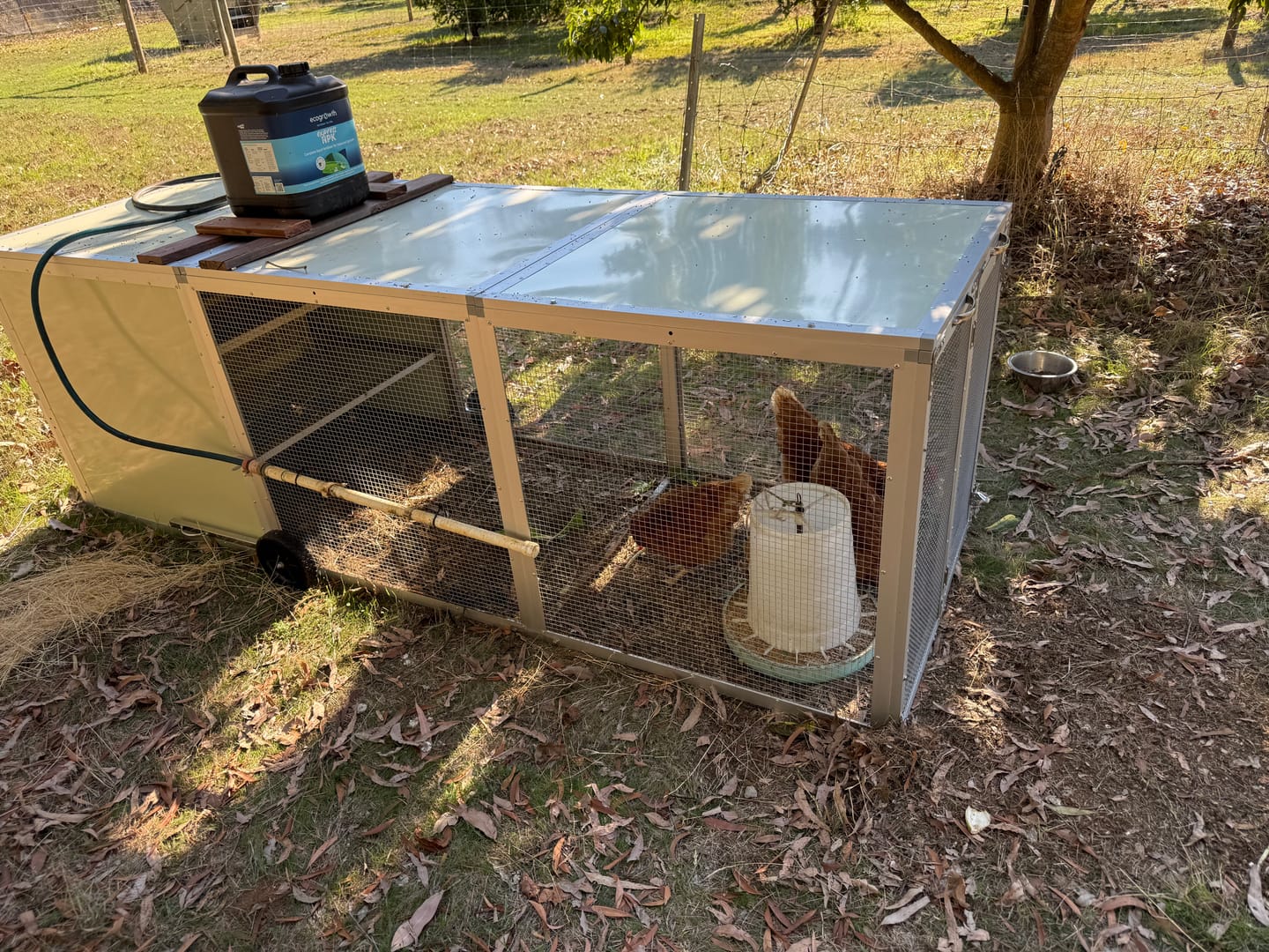 Customer photo review of Mobile Chicken Coop / Chicken Tractor