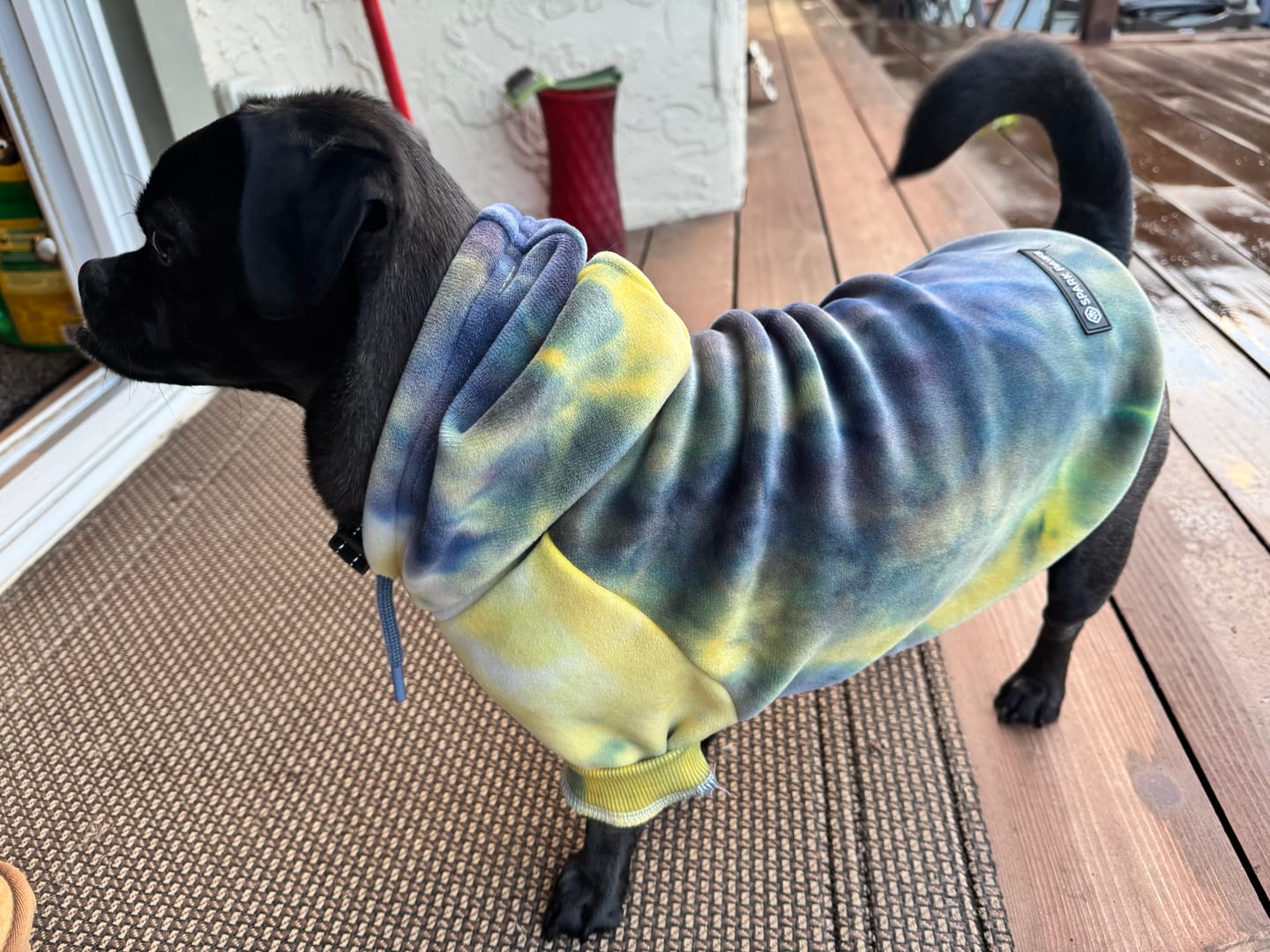 Customer photo review of Velvet Dog Hoodies