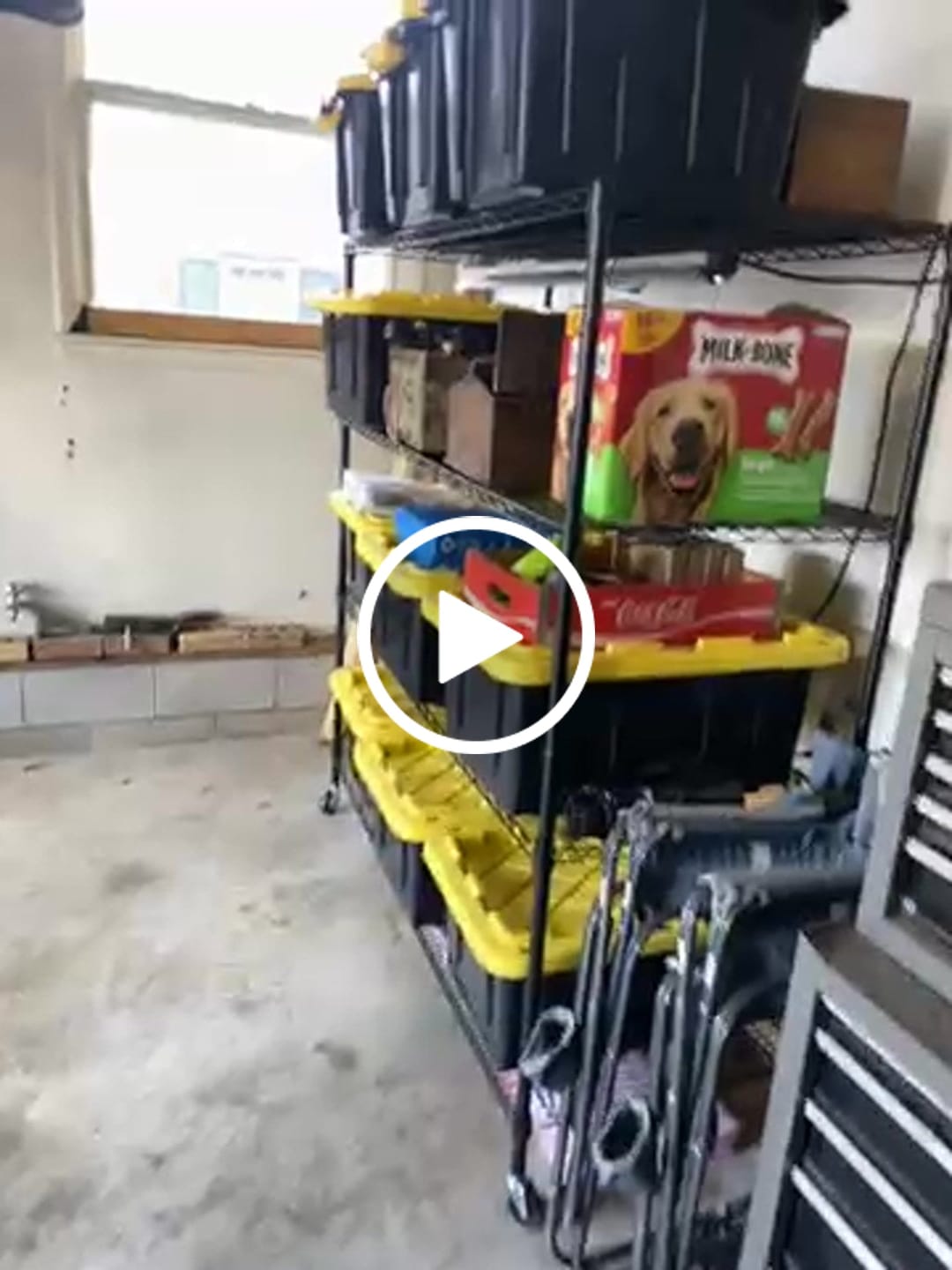 Customer video review of Reibii 60" W x 24" D Wire Storage Shelves, Rolling heavy duty shelves, Adjustable Metal Shelves Load 2878 lbs,Storage Shelves for Garage Closet Pantry Basement