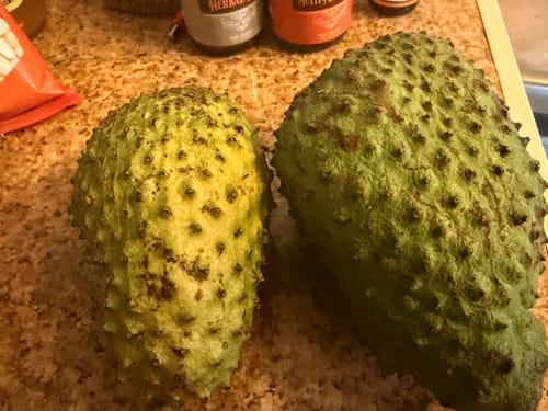 Customer photo review of Soursop