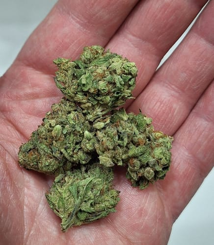 Sherblato - 28 Grams - Hybrid photo review