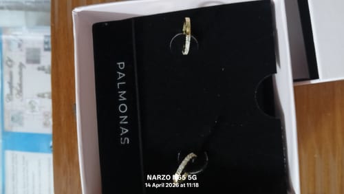 Customer photo review of GoldCrush Pave Luxe Hoops