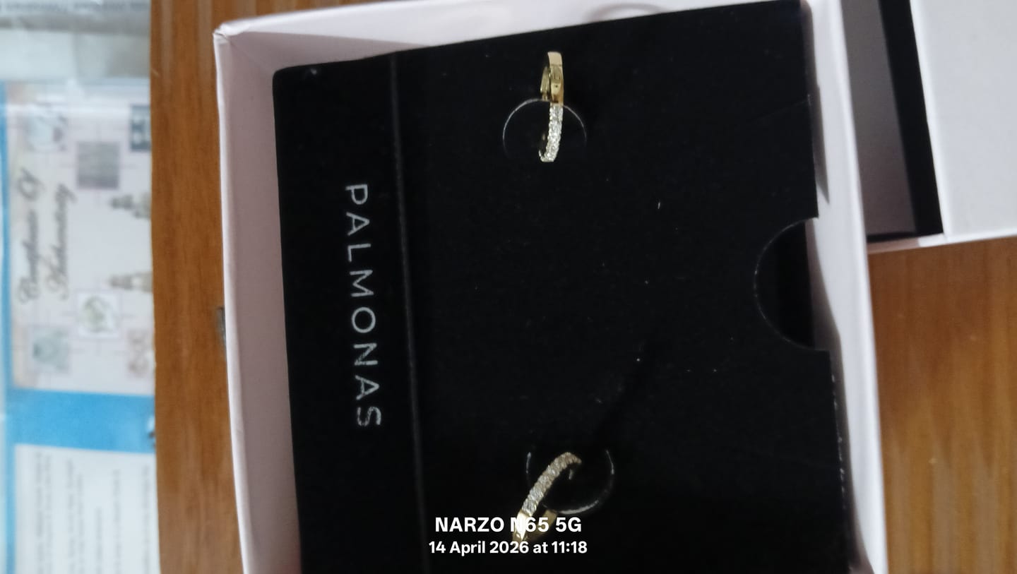 Customer photo review of GoldCrush Pave Luxe Hoops