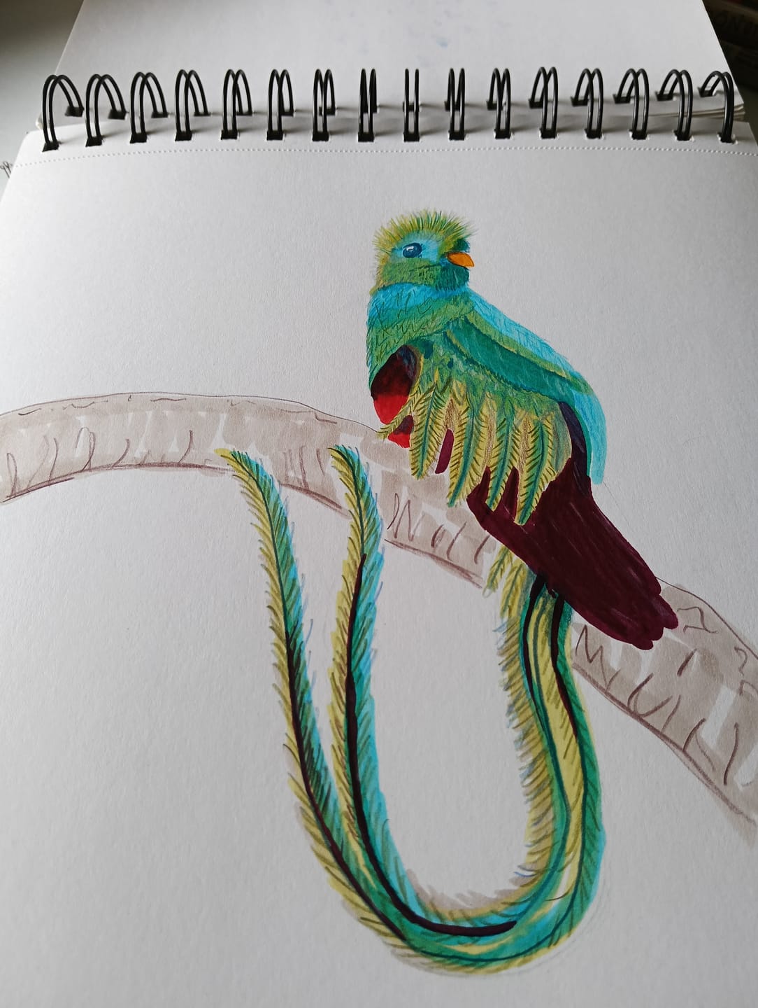 Customer photo review of Ohuhu Spiral-Bound Marker Pad for Alcohol Markers