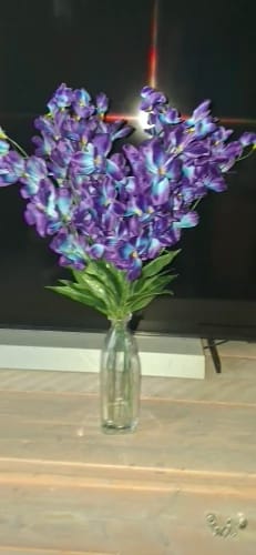 Customer photo review of 10PCS Artificial Orchid Flowers 27” – Purple Blue Silk Orchid Stems Faux Flower Branches for Wedding Decor, Bridal Bouquets, Home Dining Table & Restaurant Decorations