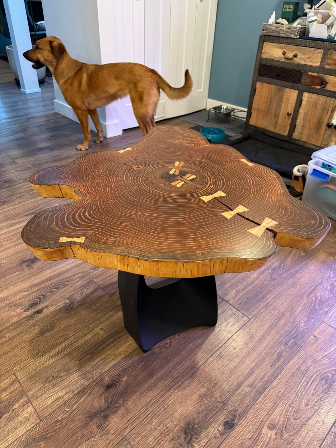 Customer photo review of End Table Legs 220 Tulipe 20" H for Modern Round Tabletop