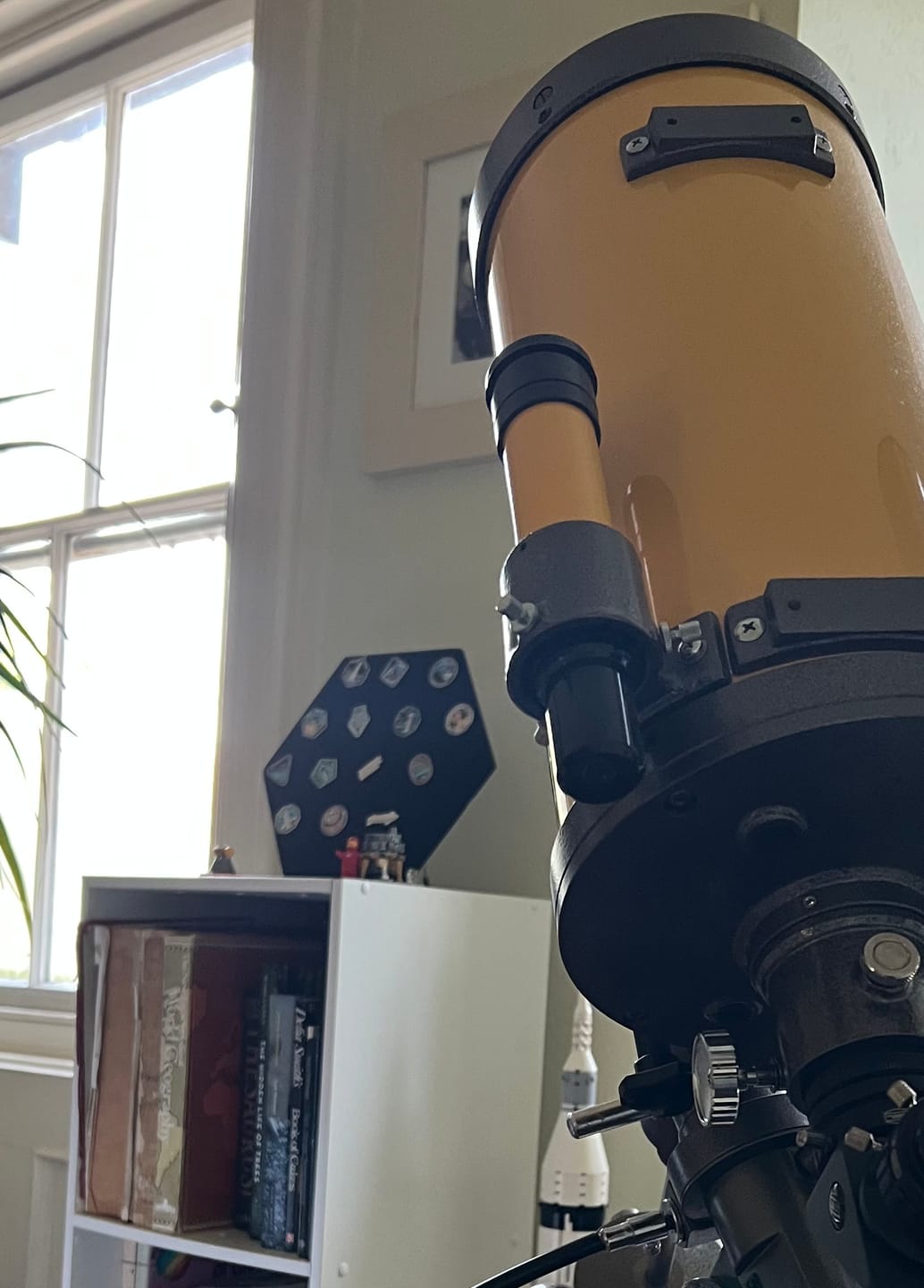 Customer photo review of SpaceX Starship Flight Pin Collection & Display Mount