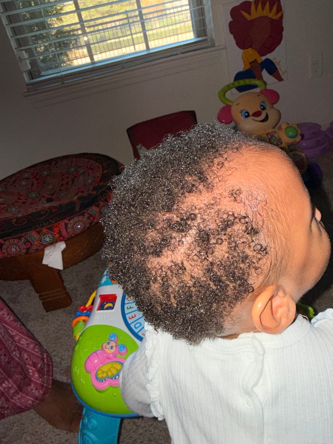 Customer photo review of I Want It All Whole Collection Kit