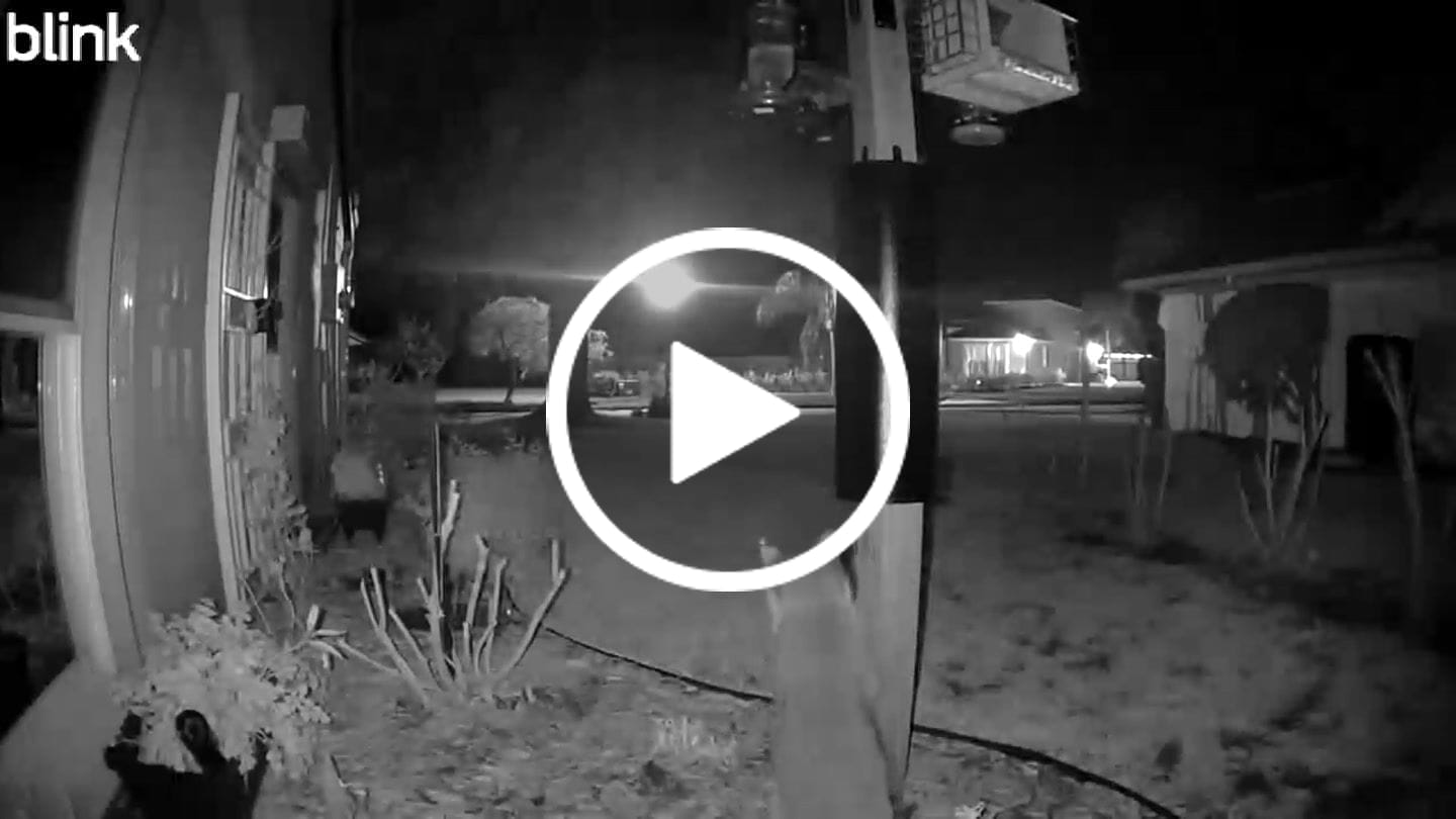 Customer video review of Raccoon & Squirrel Baffle 4x4 Post-Mount