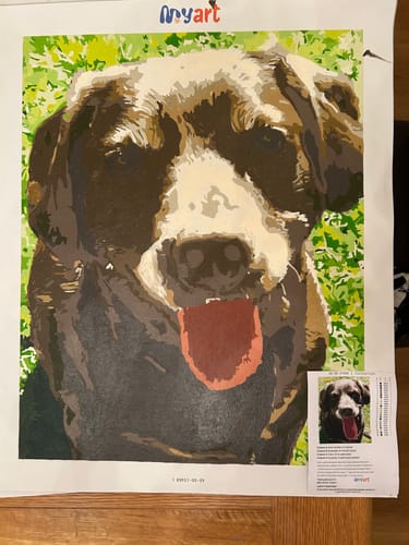 Customer photo review of Paint Your Photo