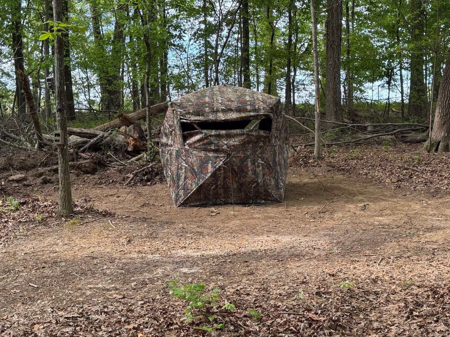 Customer photo review of FLASH SALE VisX/VisMax 270 Degree Ground Blind | See-Through Duck Blind & Portable Pop-Up Deer Blind | Camouflage Hunting Blinds & Best Budget Ground Options