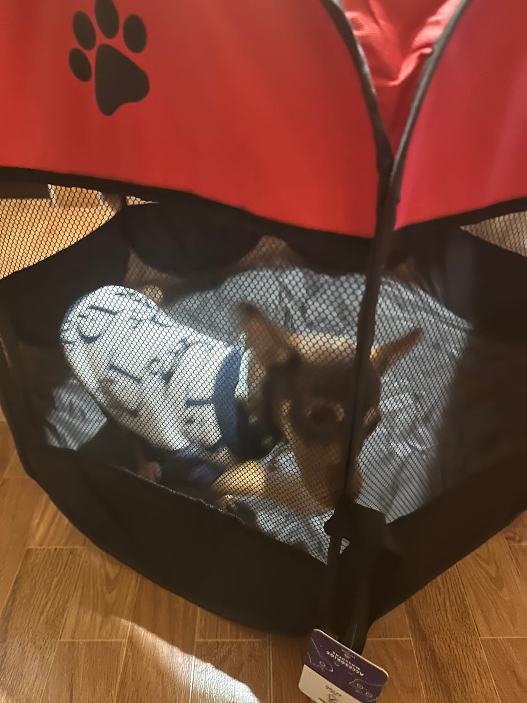 Customer photo review of CT1637 1 Pieza De Jaula Casa Portátil Para Mascota