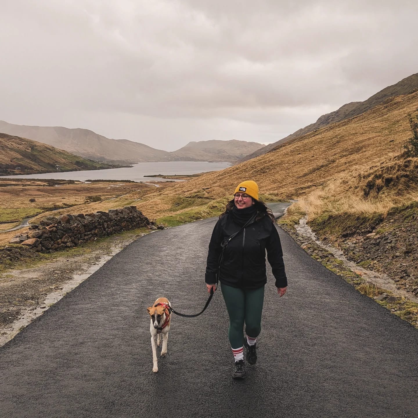 Customer photo review of Reflective City Leash Traffic Grip