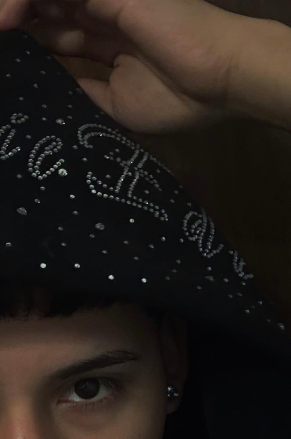 Customer photo review of Aelfric Eden Rhinestone Pullover Hoodie