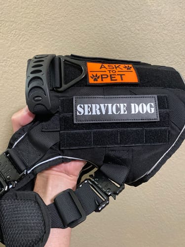 Reviewer holding the black Team K9 dog harness, showing the 'SERVICE DOG' patch and metal buckles.