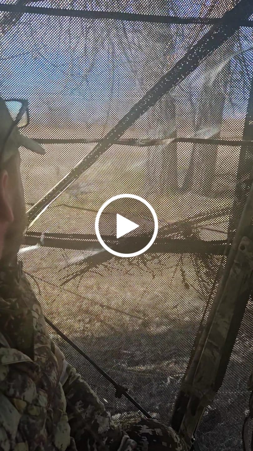 Customer video review of VisX See Through 300D Hunting Blind 2-3 Person Pop Up Ground Deer Blind