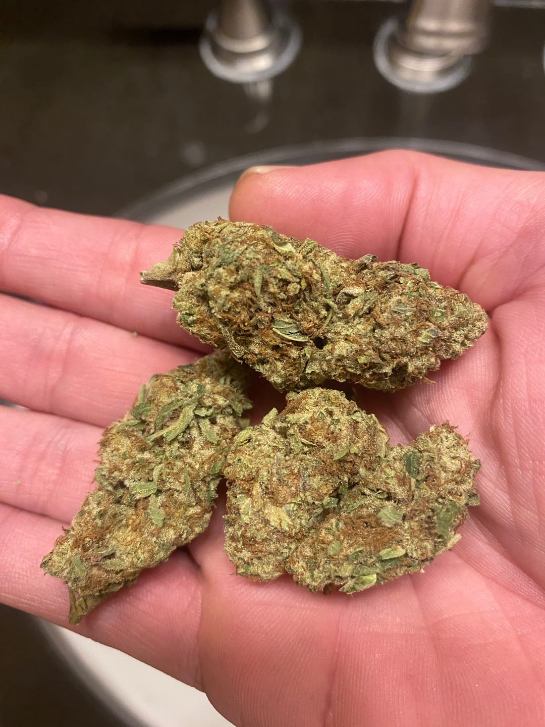 Customer photo review of Blueberry Muffins - Bulk - Indica