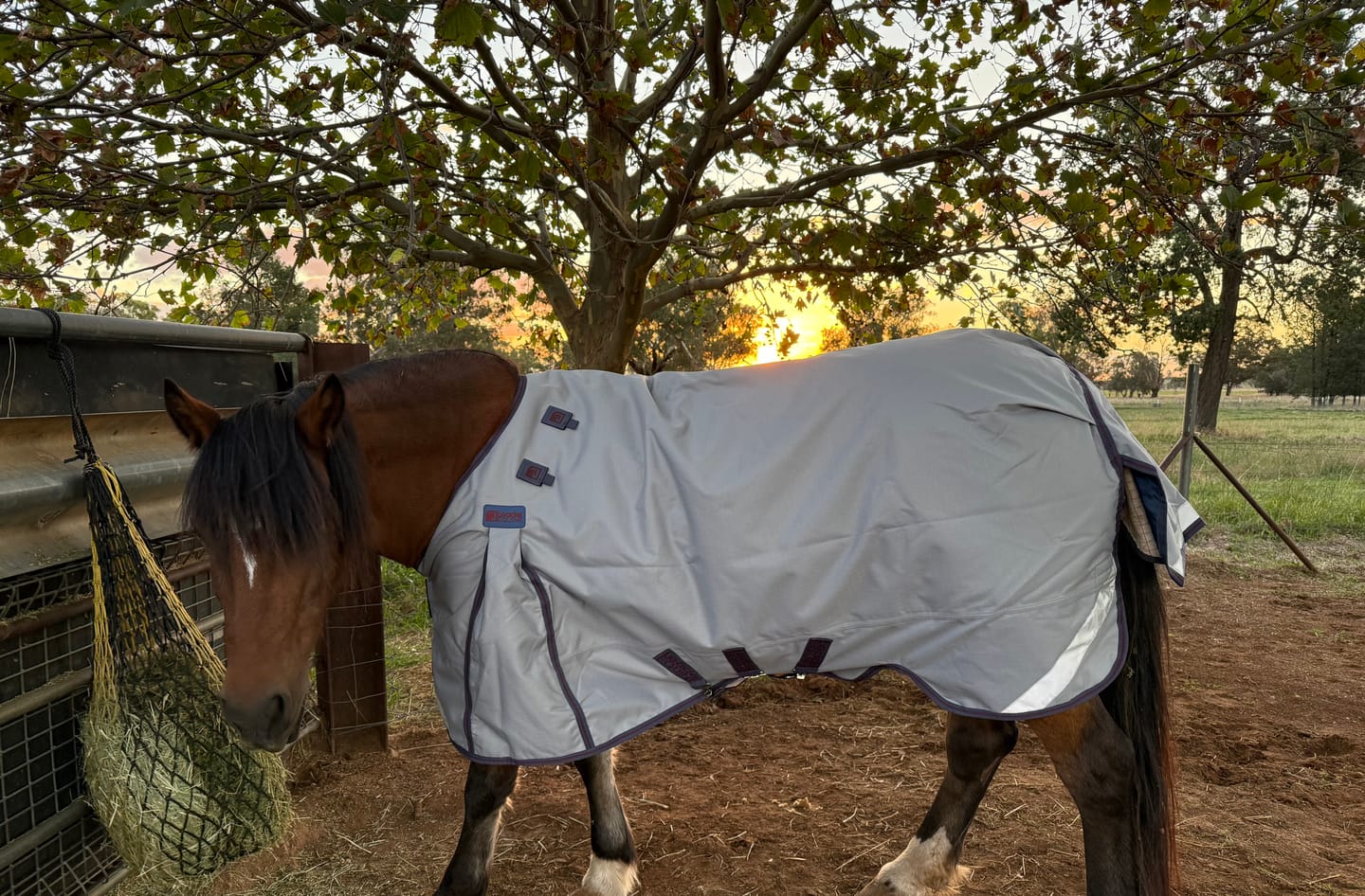 Customer photo review of LE Boxter Turnout Ripstop 50g