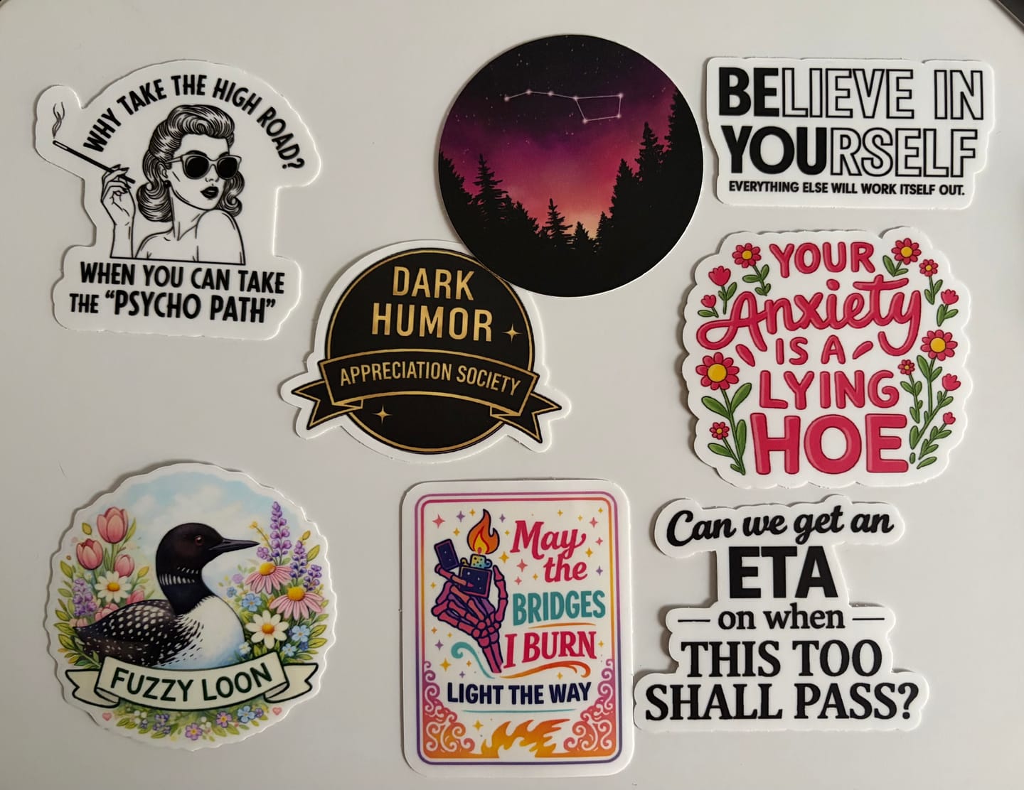 Customer photo review of STICKER CLUB | Monthly Sticker Subscription