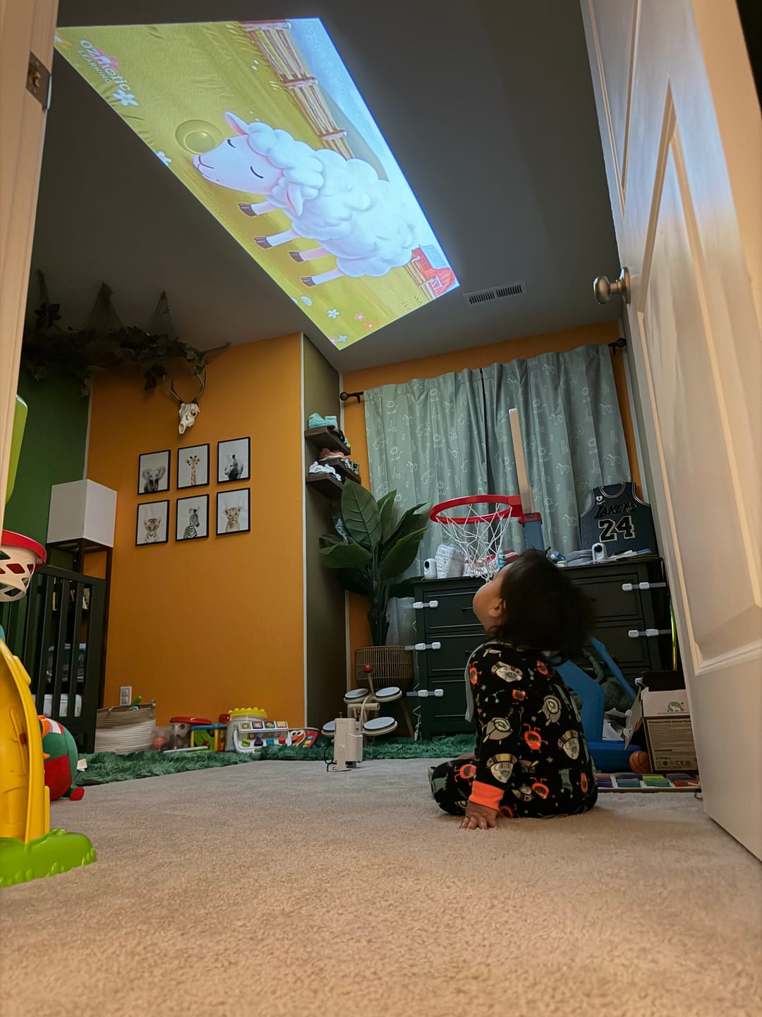 Customer photo review of Ozmotic Learning Projector