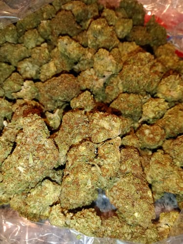 Gelato Kush - Bulk - Indica photo review