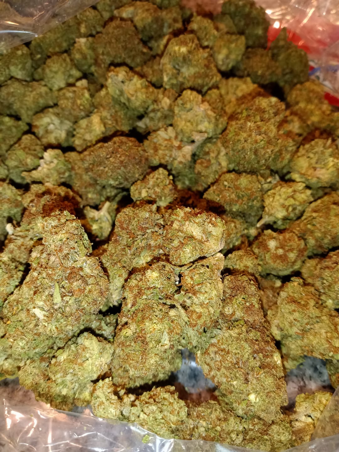 Customer photo review of Gelato Kush - Bulk - Indica