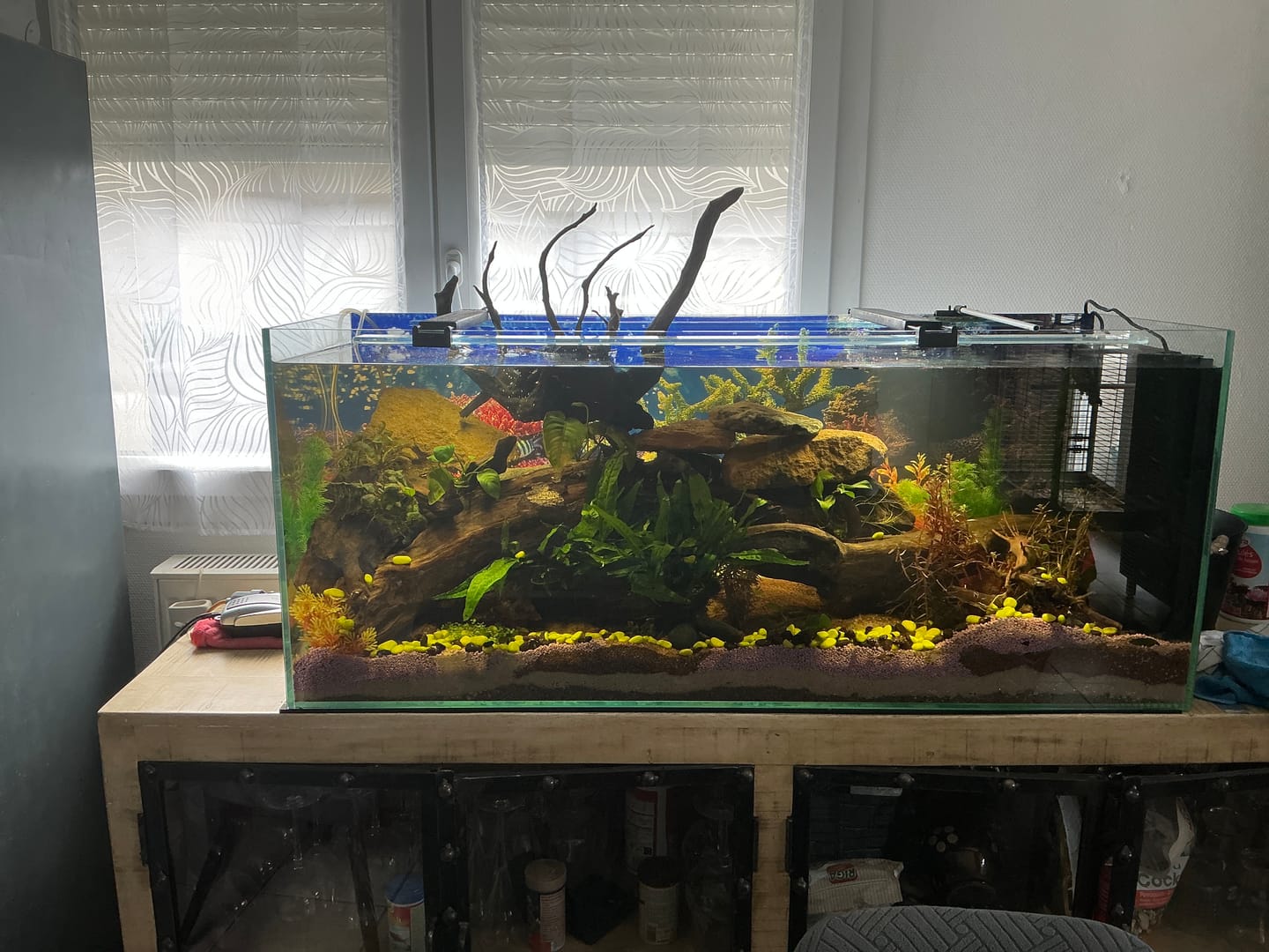 Customer photo review of Cuve Nue en Verre SCALARE - 240 L