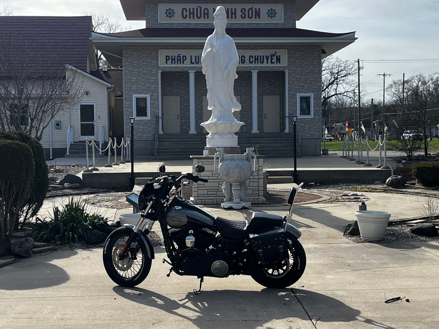 Customer photo review of Viking Iron Born Plain Leather Short Motorcycle Backrest Pad for Harley Davidson Foldable Sissy Bar