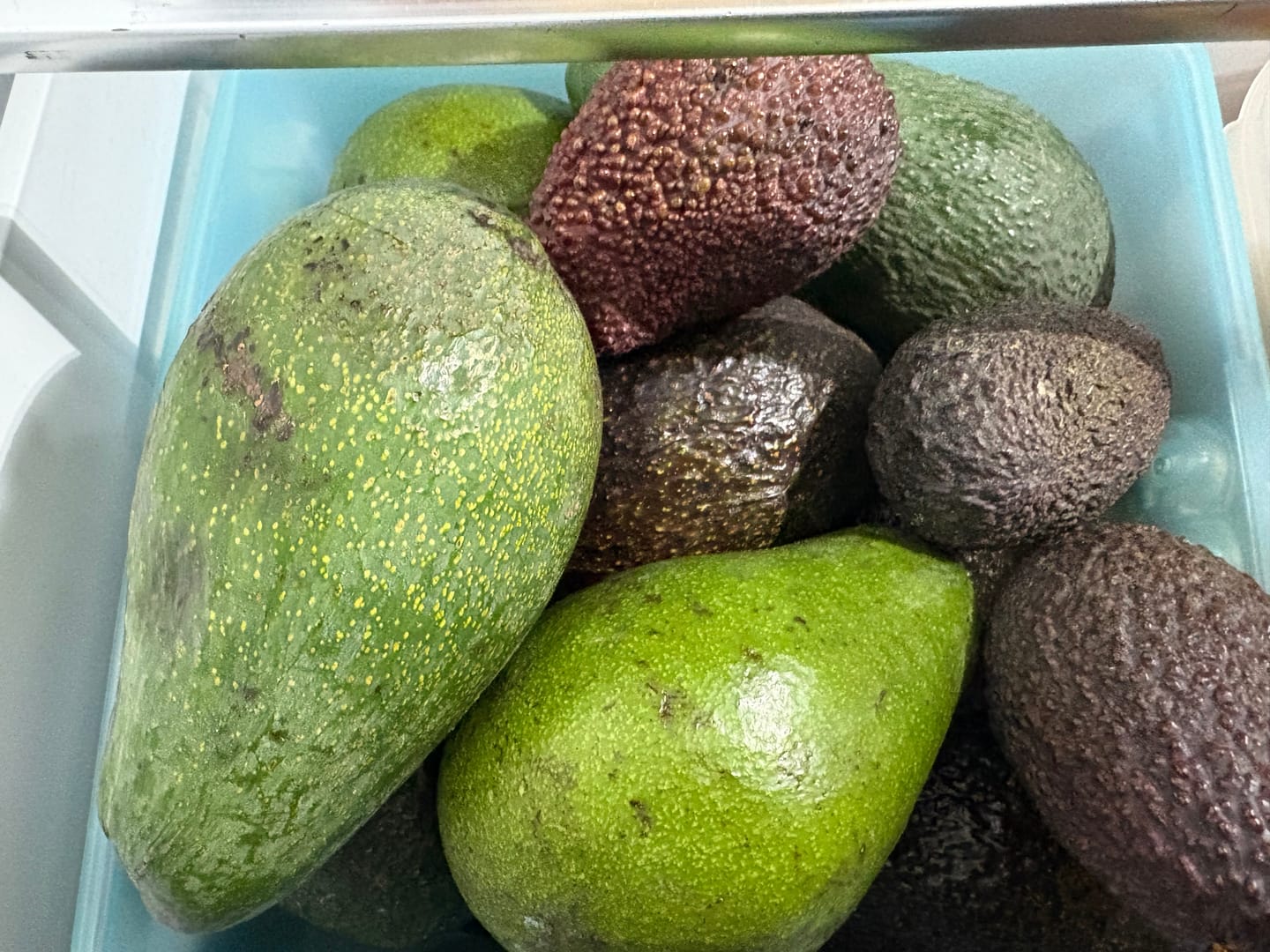 Customer photo review of Avocado-Mix von Julian 3kg Box Aktionspreis %
