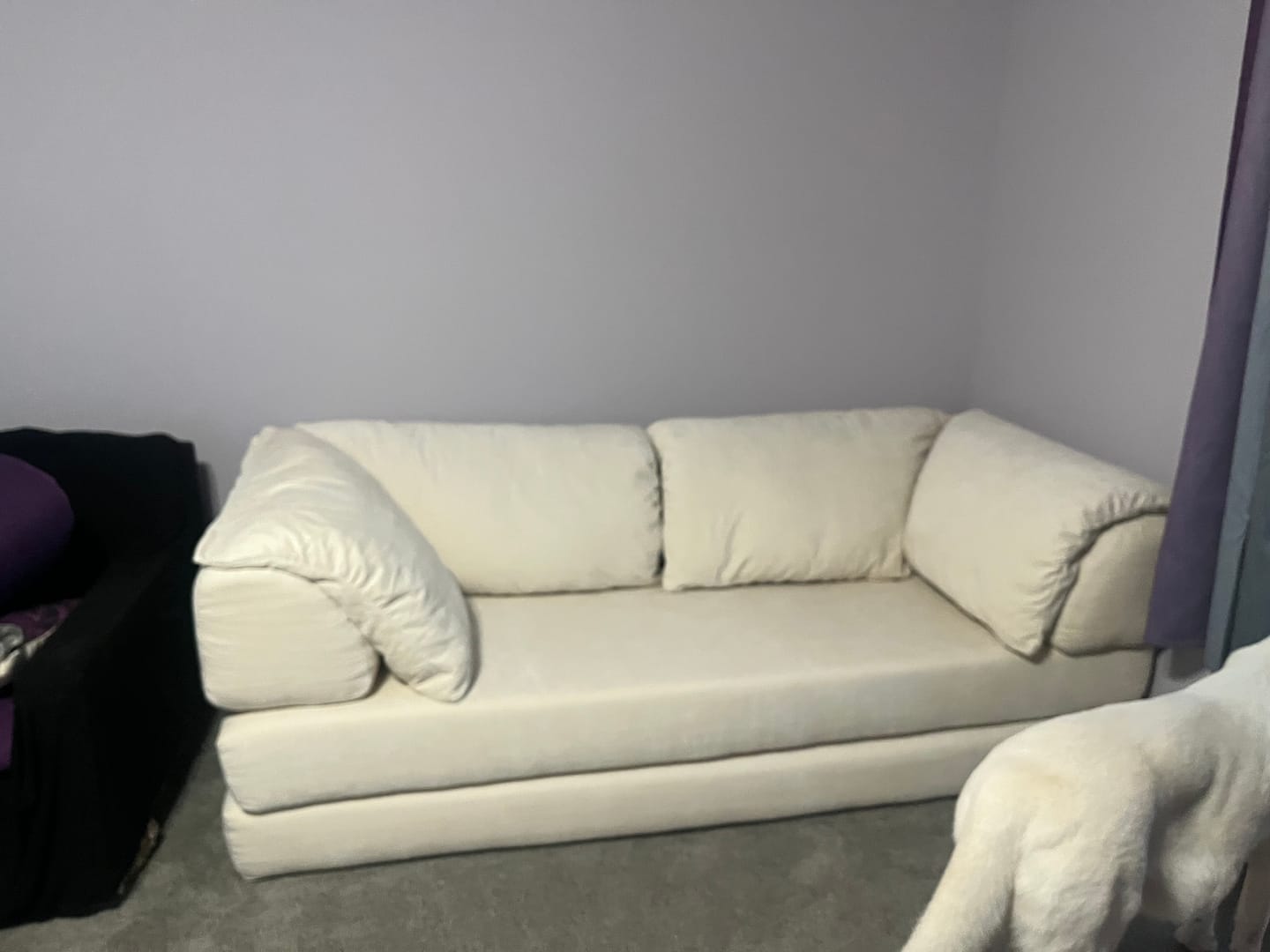 Customer photo review of Pebble Sofa