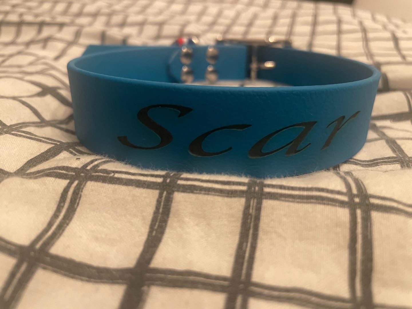 Customer photo review of Collier Chien Personnalisé en Biothane® - Gravé à Vie & Étanche